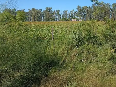 Campo en venta en Aurelia - Santa Fe