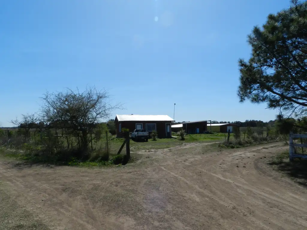 Campo en Etchegoyen de 4 hectáreas con mejoras a 5 minutos de Rta. 6