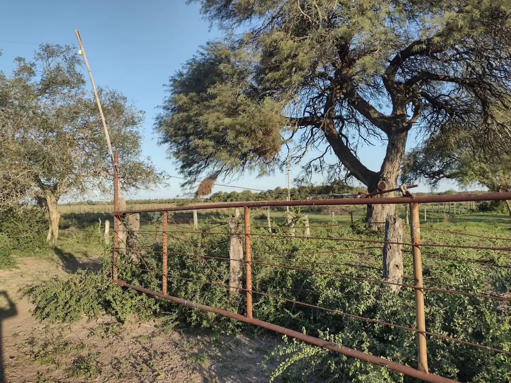 VENDO CAMPO 113 HECTAREAS  GANADERO EN CALCHAQUI SANTA FE