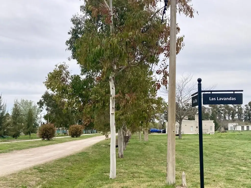 Oportunidad, Venta Lote en Campo de Roca II