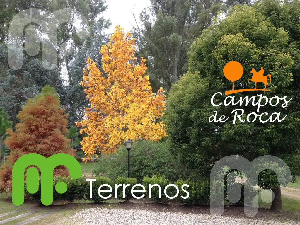 VENTA DE TERERNO / LOTE EN CAMPOS DE ROCA