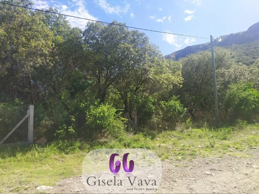 LOTE en VILLA ELENA – CORTADERAS – SAN LUIS