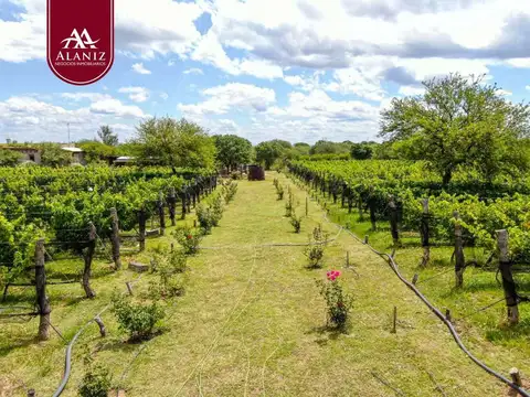 Venta De Emprendimiento Soñado En Merlo, San Luis