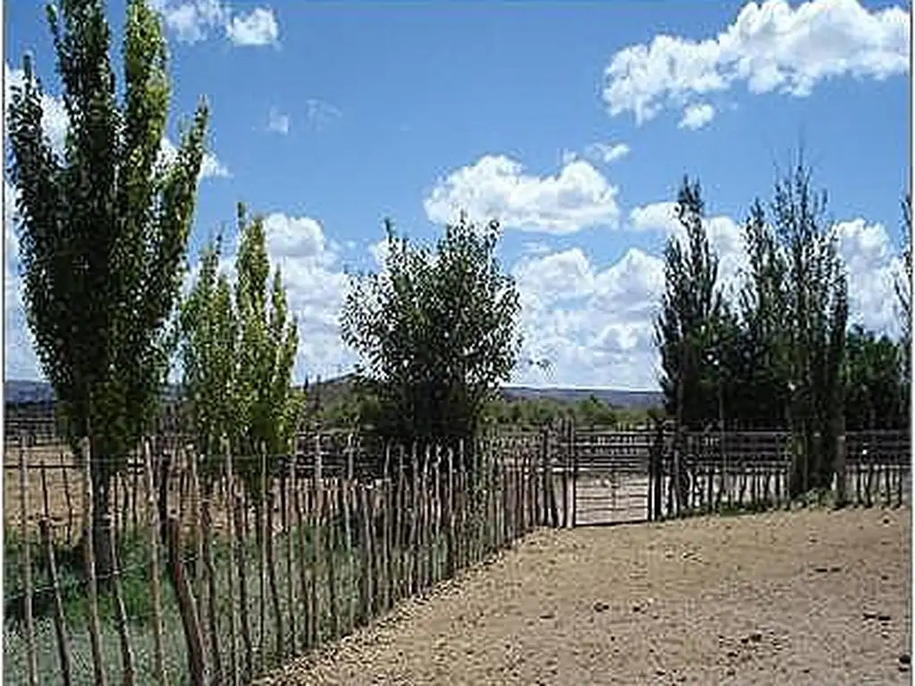 Estancia  Ganadera en Mendoza-con ganado y equipamiento