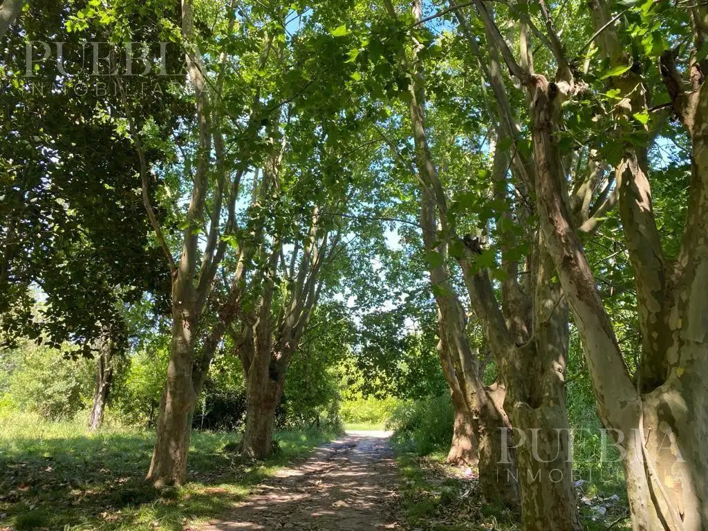 Campo en San Vicente, Zona Sur