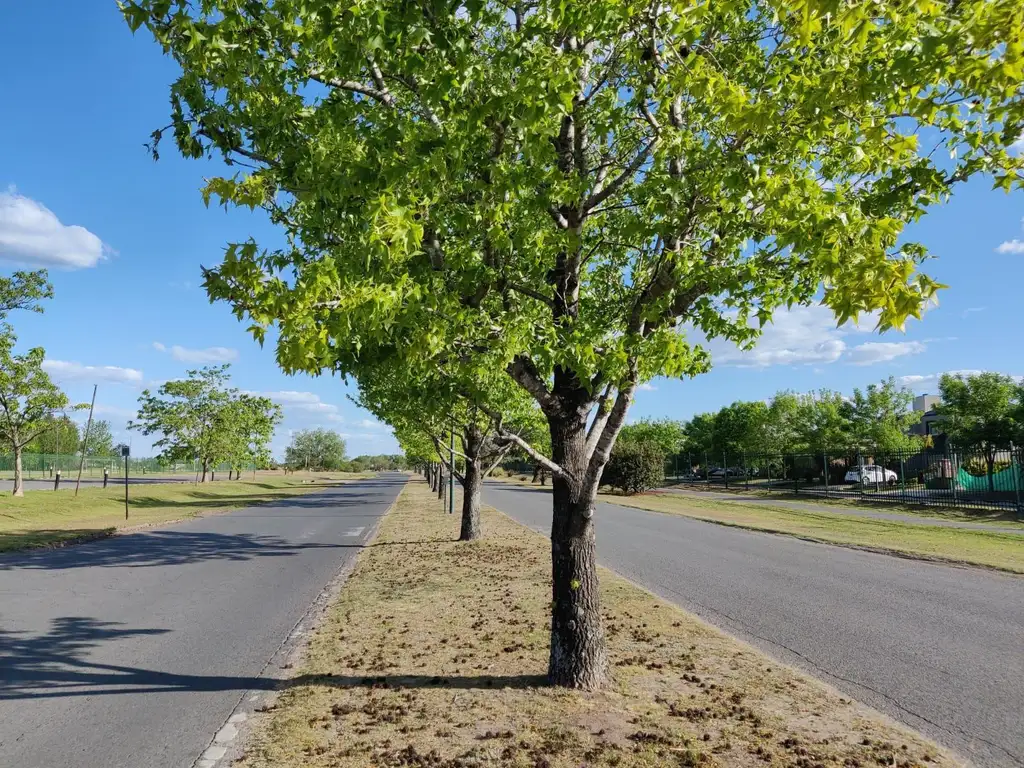 Terreno en  Santa Lucia Pilar del Este