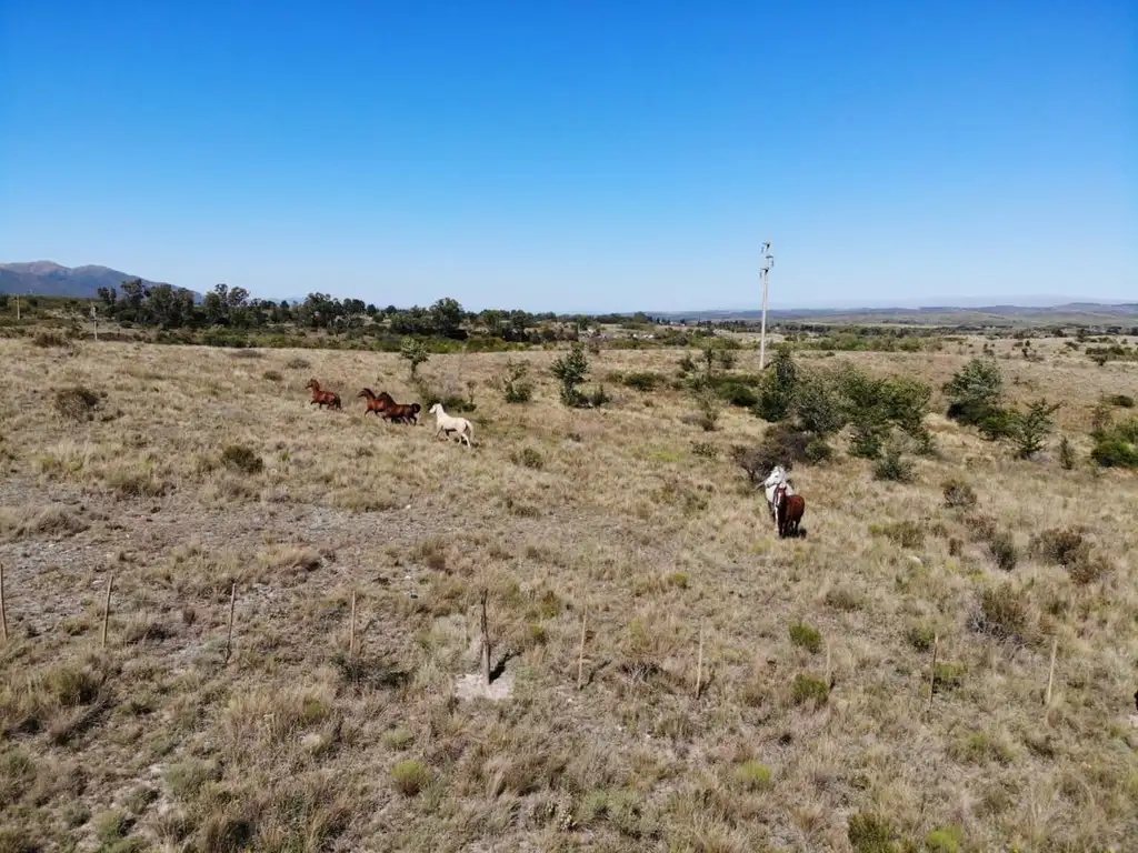 TERRENOS EN LA CUMBRE