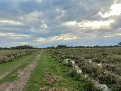 CAMPO EN DPTO. GRAL. PAZ - CORRIENTES