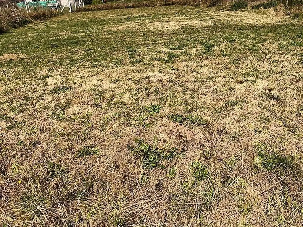 TERRENO EN LUJAN