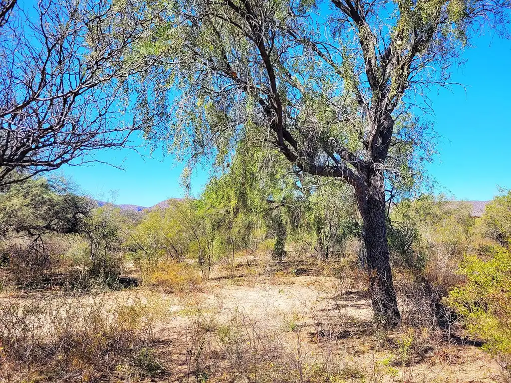 Vendo lote de 4000 m² en barrio cercano a Pozo de Luz, San Marcos Sierras