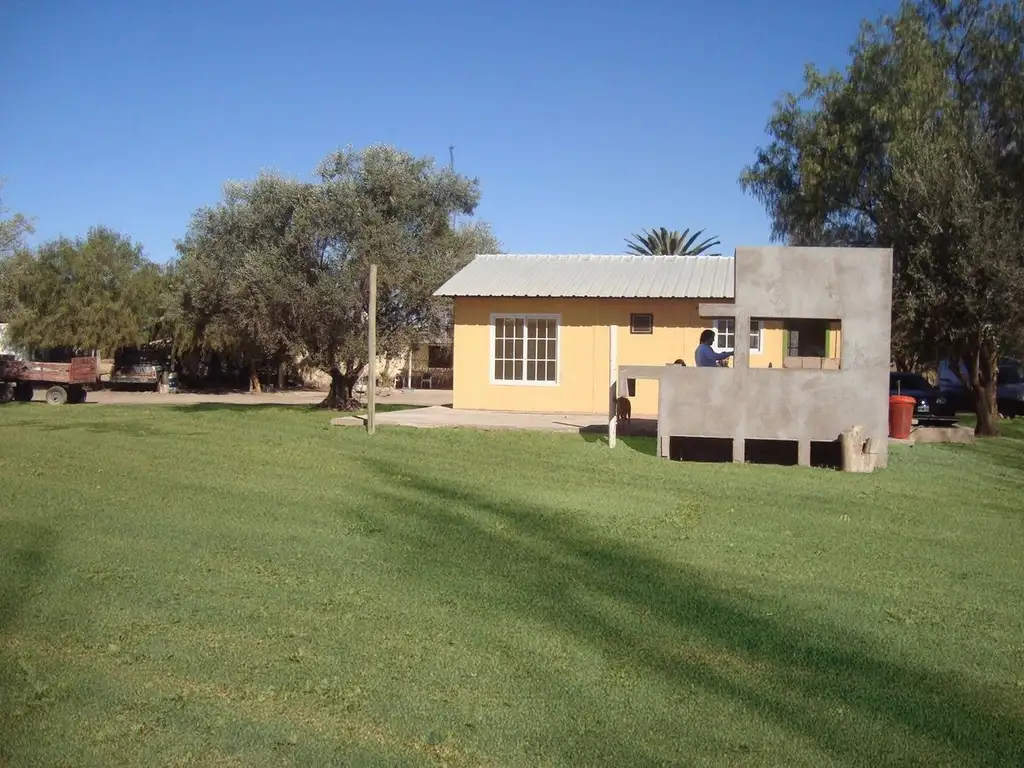 Hermosa Quinta de Ciruelos en San Martín