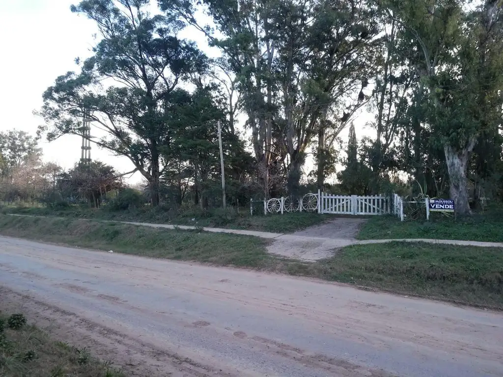 Chacra - Gualeguaychu