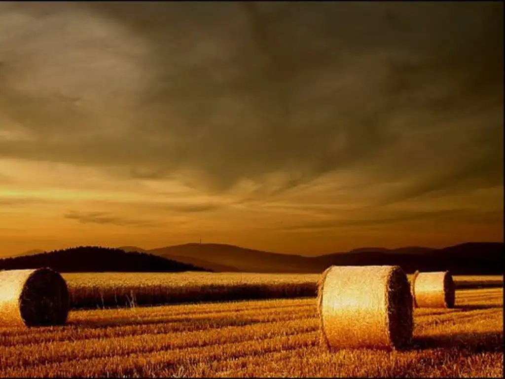 Excelente campo AGRÍCOLA