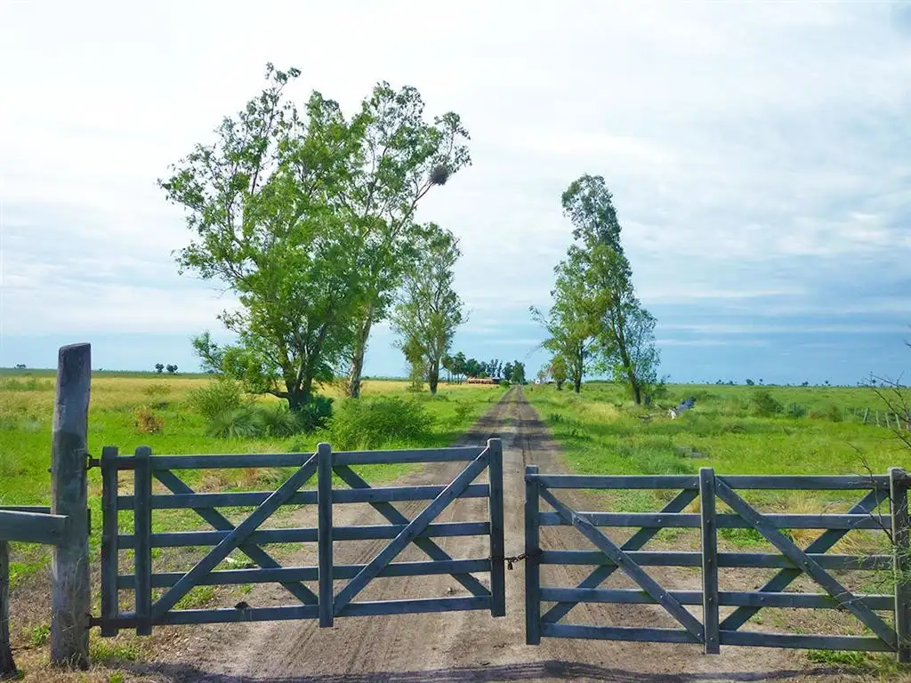 "EL PALMAR" 2000 has agricolas y 750 ganaderas en Santa Fé, a 600 kms de Rosario.