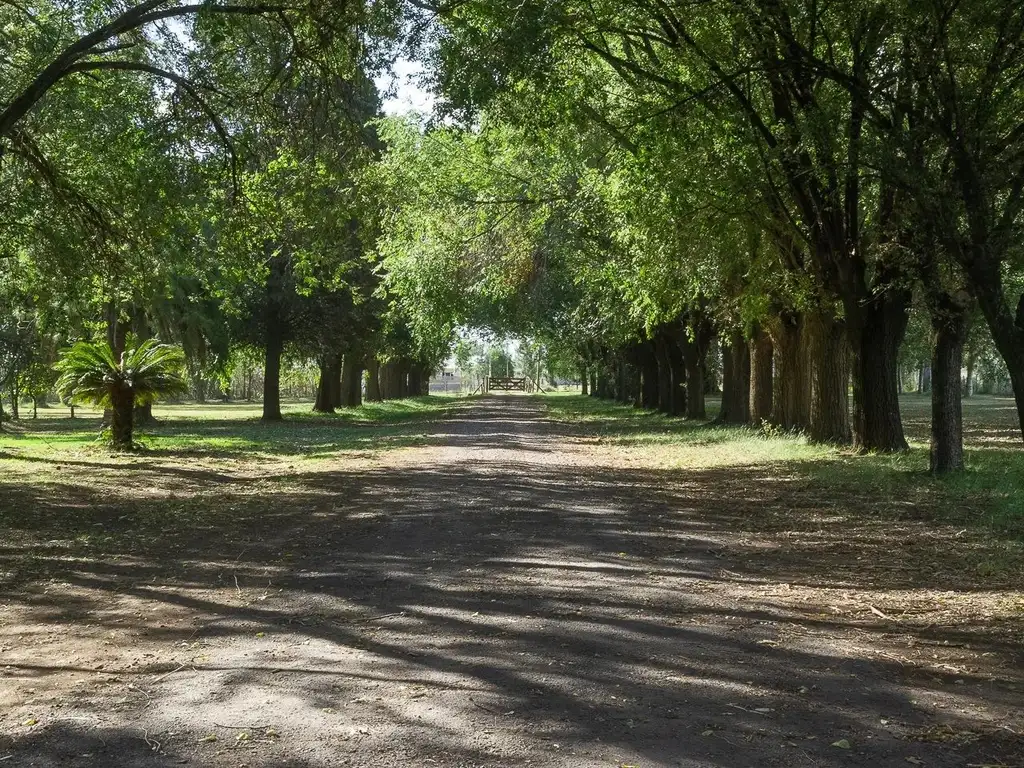 LOTES EN VENTA BARRIO LA EUGENIO BY MORADAS