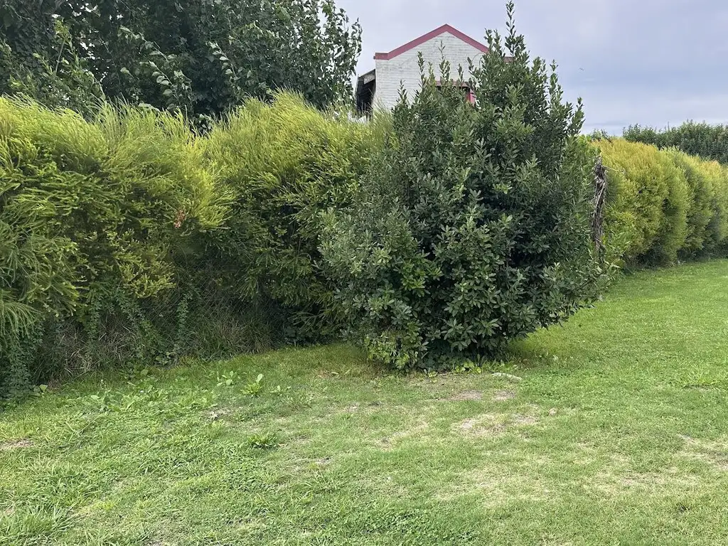 Terreno en barrio cerrado Las Lambertianas. 143 y 516