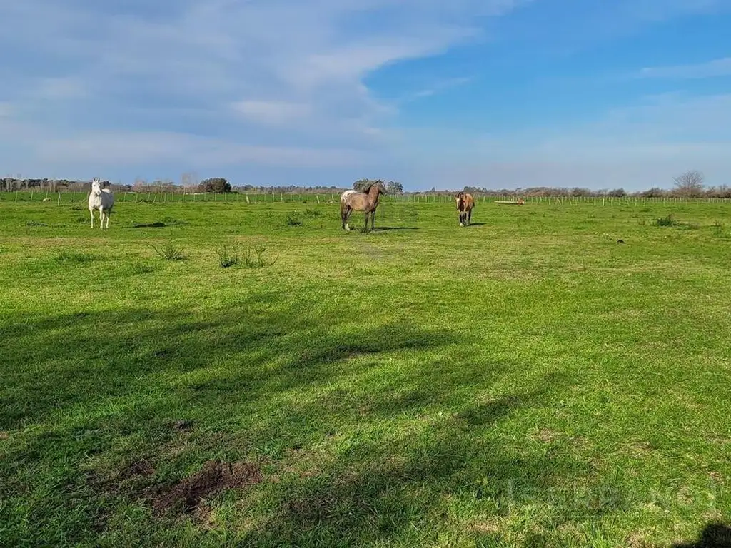 Campo con casa en Venta en Diego Gaynor, Exaltación de la Cruz, G.B.A. Zona Norte