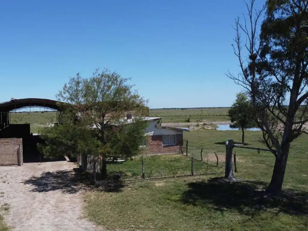 ALQUILER / CAMPO GANADERO / HUANQUEROS