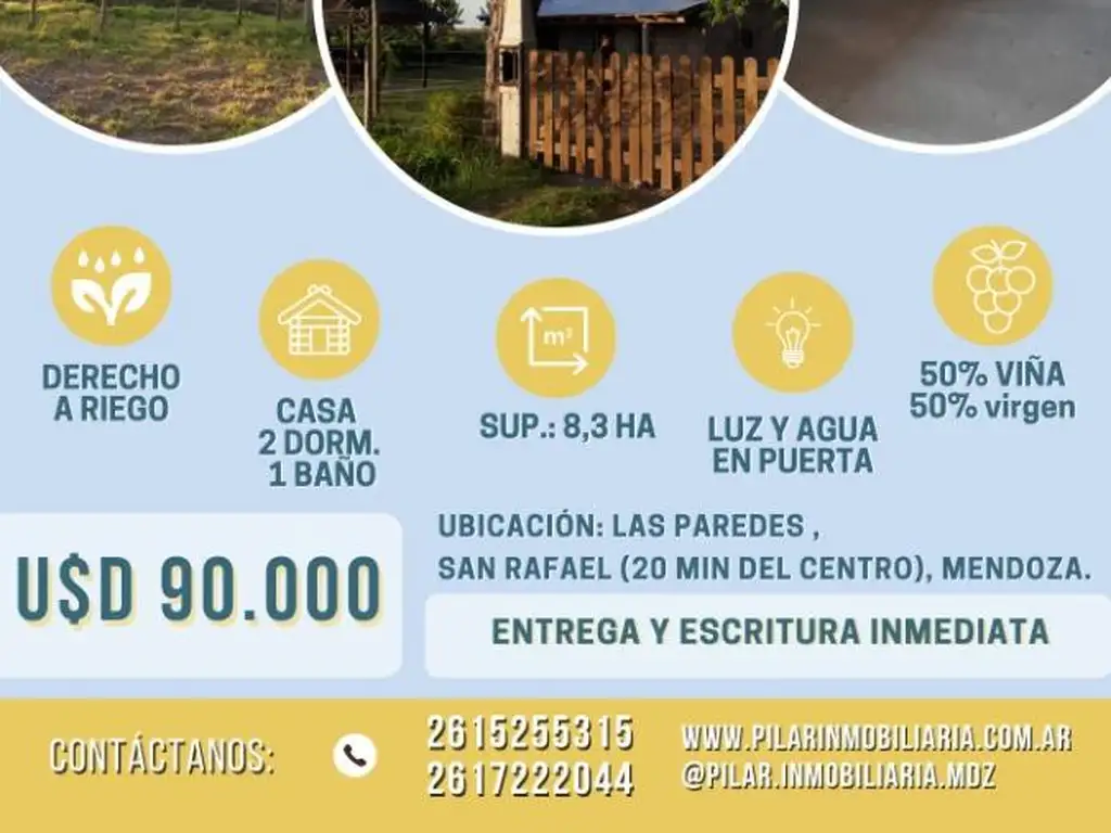 VENDO FINCA 8,3HA - LAS PAREDES, SAN RAFAEL - MENDOZA