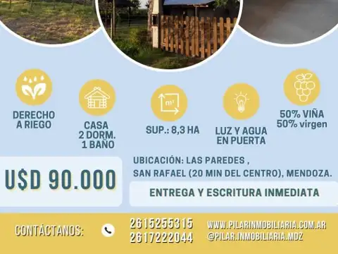 VENDO FINCA 8,3HA - LAS PAREDES, SAN RAFAEL - MENDOZA