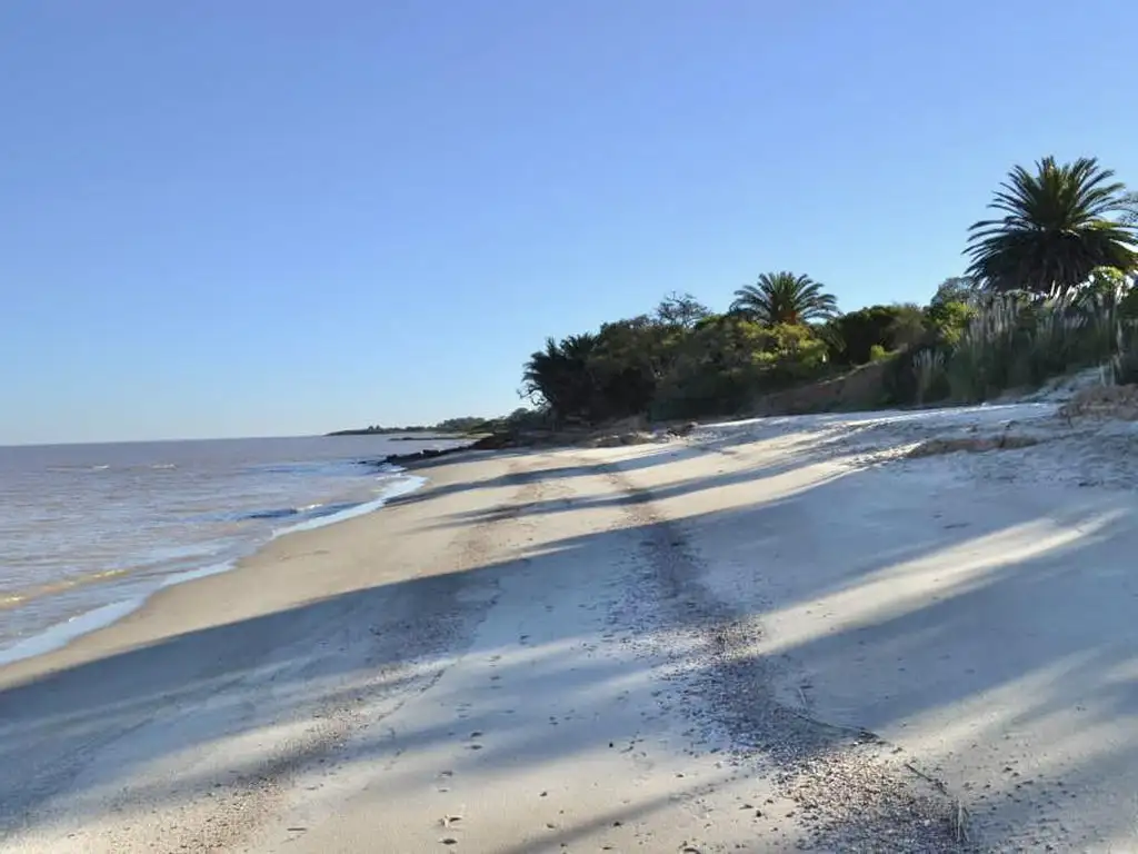 MARAVILLOSA CHACRA DE 37,5 HA CON CASA A LA COSTA DEL RIO EN ARTILLEROS,  COLONIA, URUGUAY.