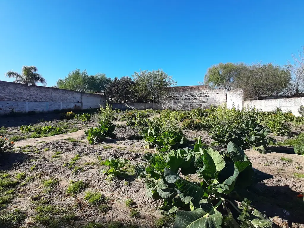 Terreno, con casa y local a restaurar, Lobos