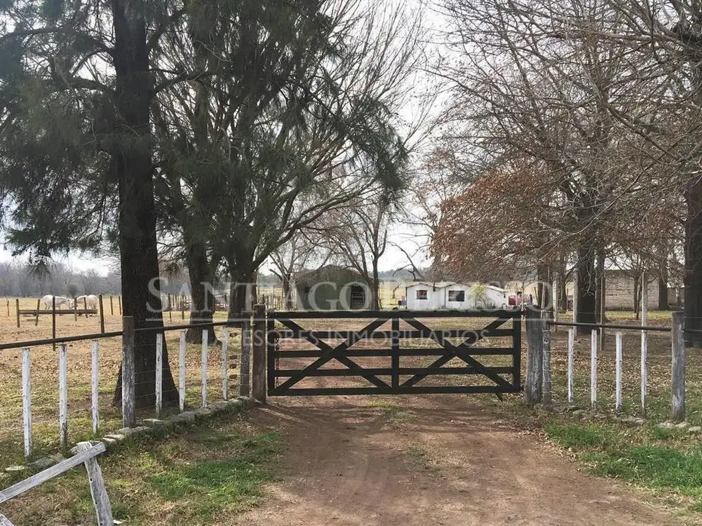 Terreno Campo  en Venta en Zárate, G.B.A. Zona Norte, Argentina