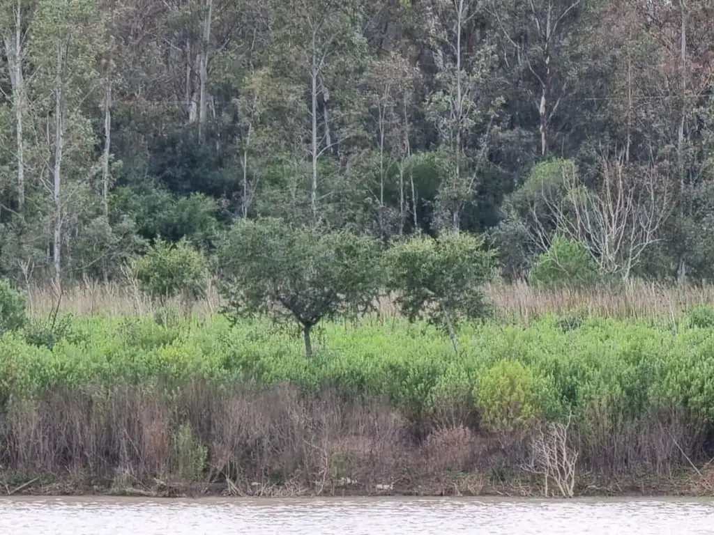 Hermoso Lote en Chacras del Parana