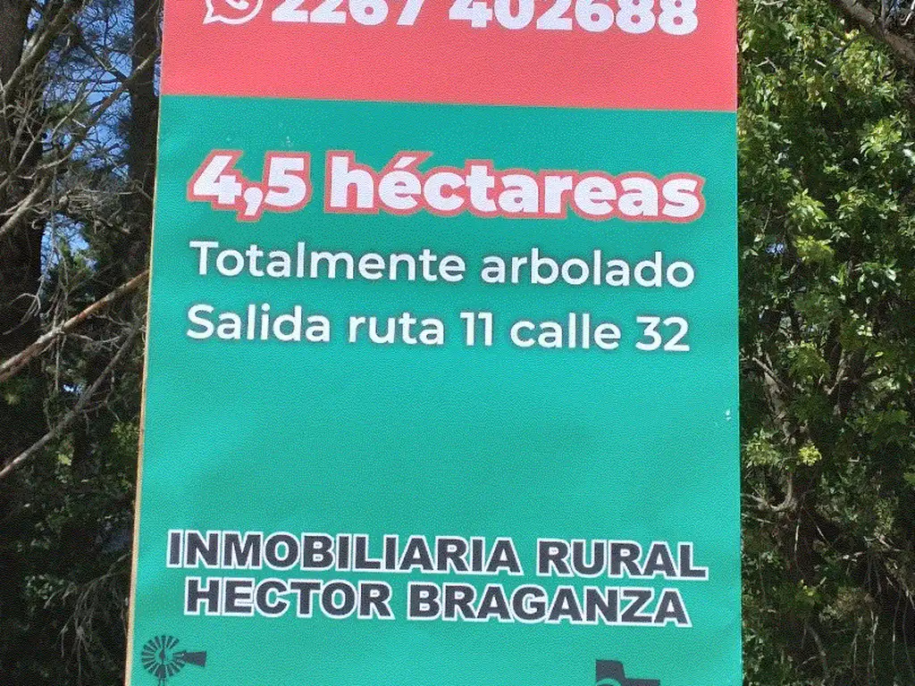 4,5 HECTAREAS TOTALMENTE ARBOLADAS CON SALIDA A CALLE 32 DE VILLA GESELL