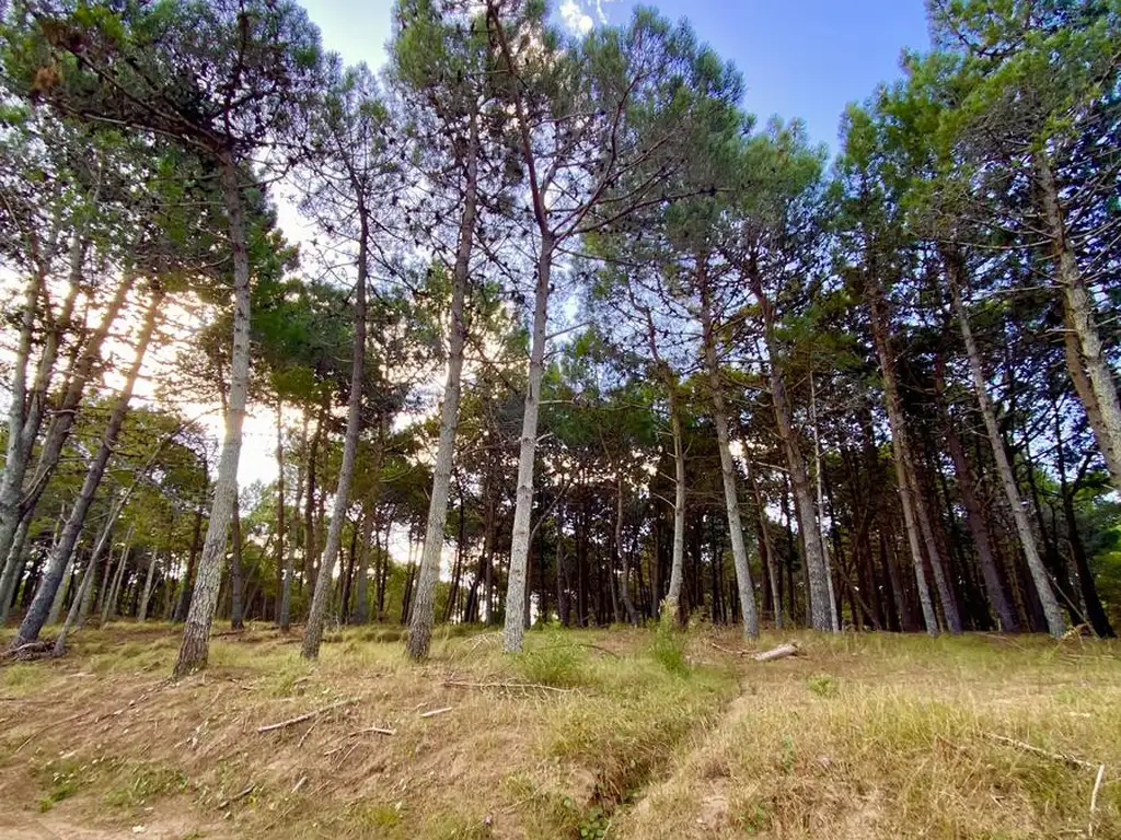 Terreno en  Barrio Brisas - Villa Robles