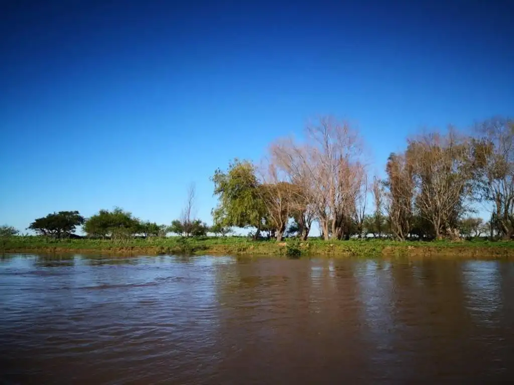 Campo de isla para ganaderia, pasturas naturales, con titulo de propiedad, RETASADO, escucha ofertas