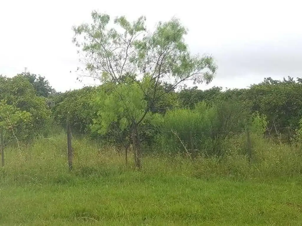 Terreno en Puerto Yerua