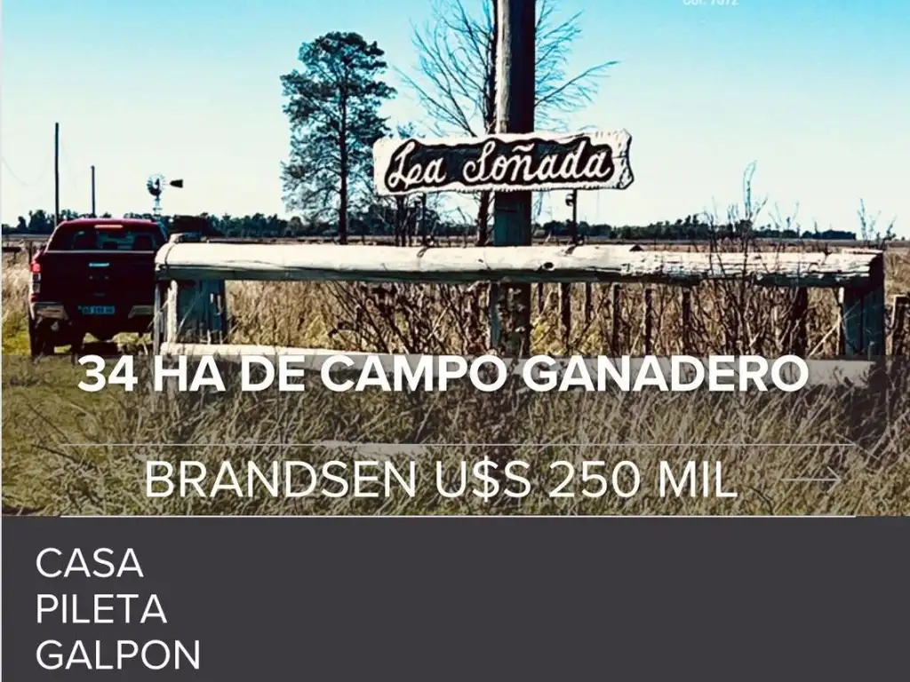 Venta campo 34 HA en Brandsen