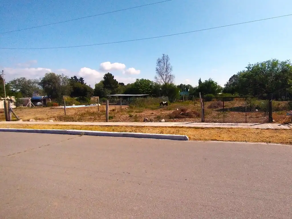 NOGOLI, TERRENO 441 MTS A 100MTS DE LA PLAZA, FRENTE A NUEVA ESCUELA