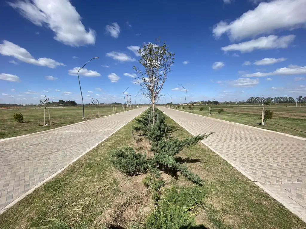 Terreno 350m2 - EcoTierra - Pueblo Esther - Distrito Cero