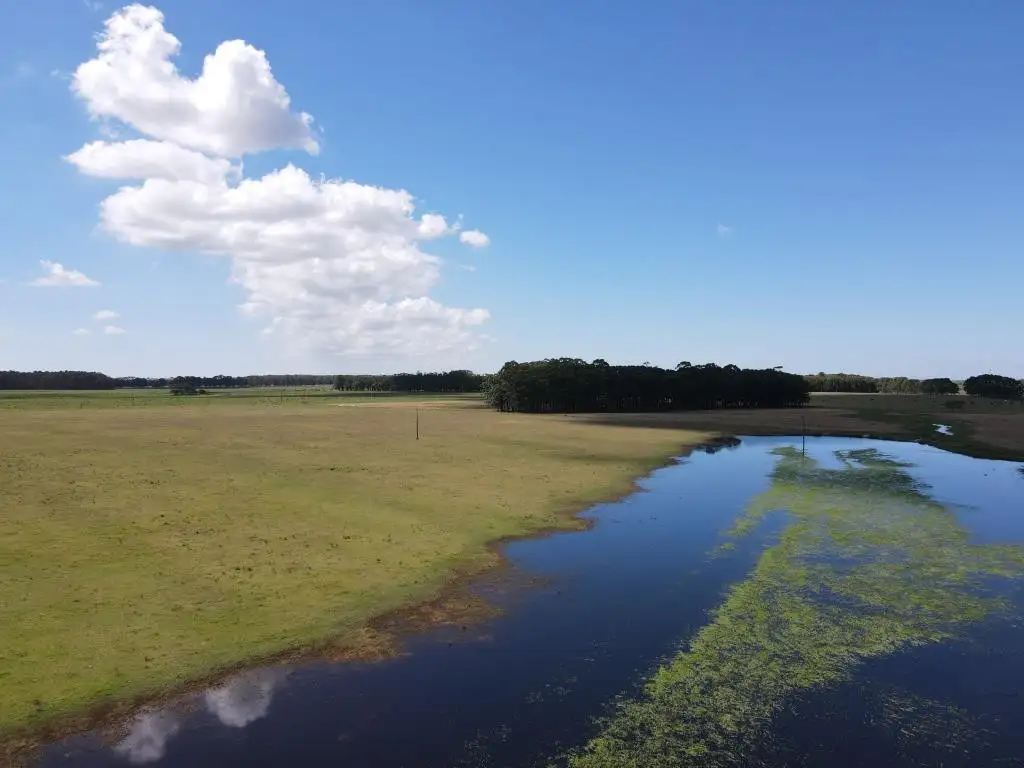 CAMPO AGRÍCOLA GANADERO EN VENTA ROCHA