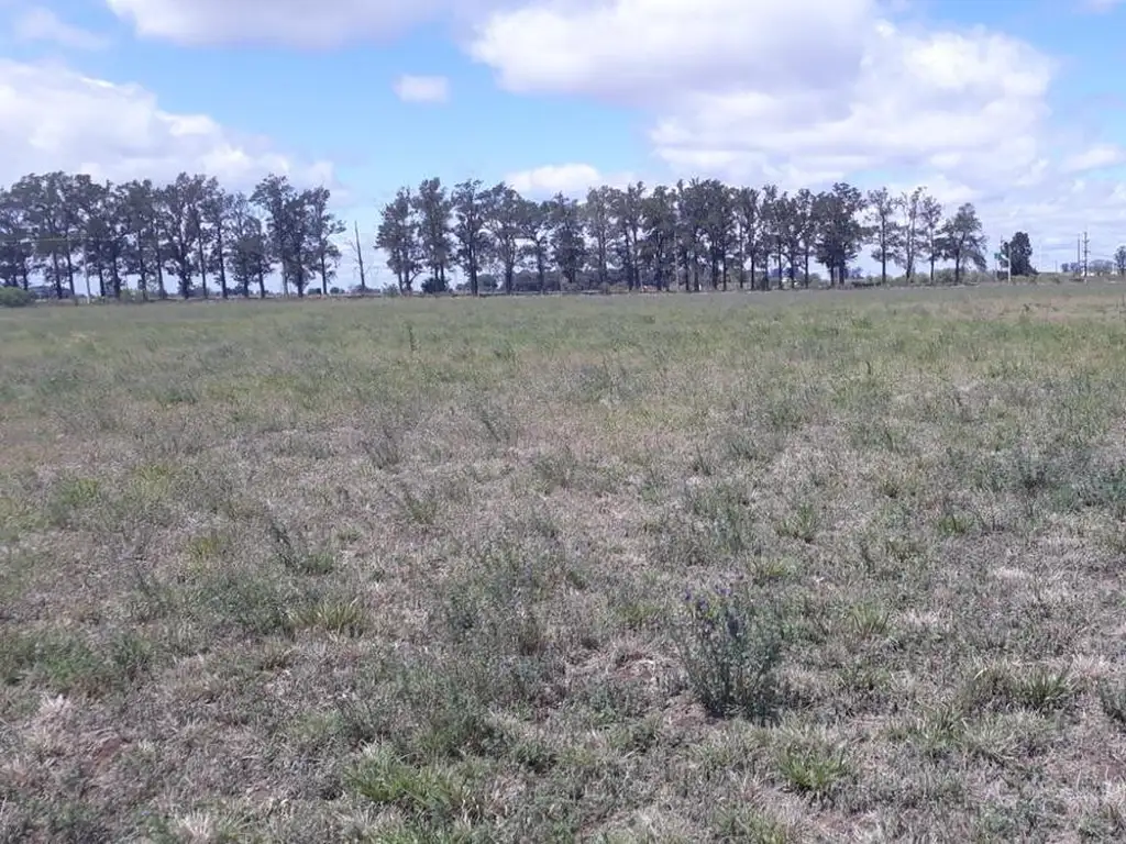 Venta Fracción de Terreno - Monje - Santa Fe