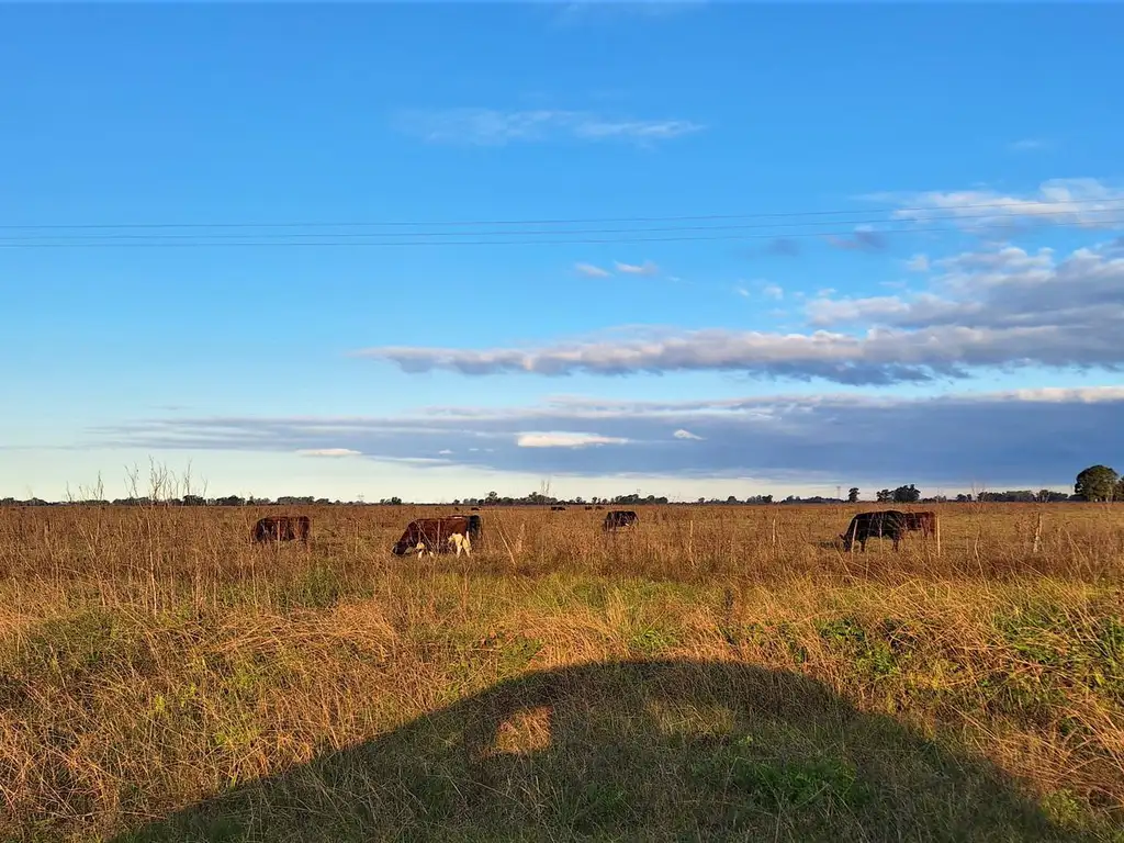 Campo en venta en Buchanan