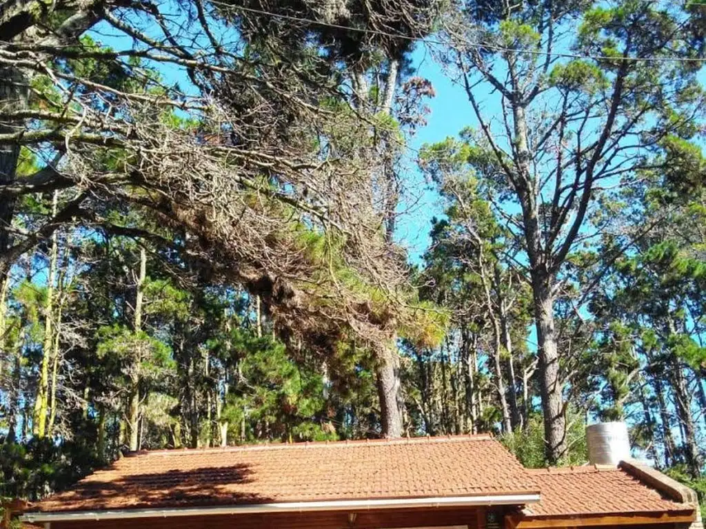 Chalet de Ensue?o en Mar Azul - Naturaleza y Playa!