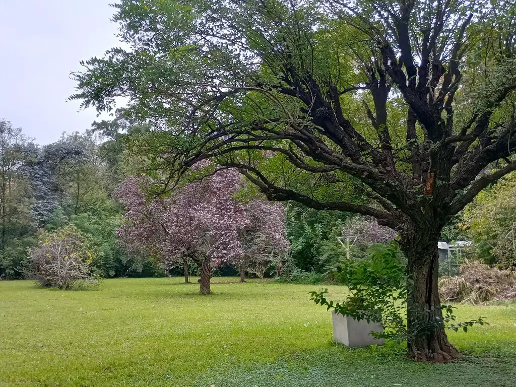 Casa Quinta en Venta, 3 Ambientes, en Loma Verde, Escobar, GBA Norte