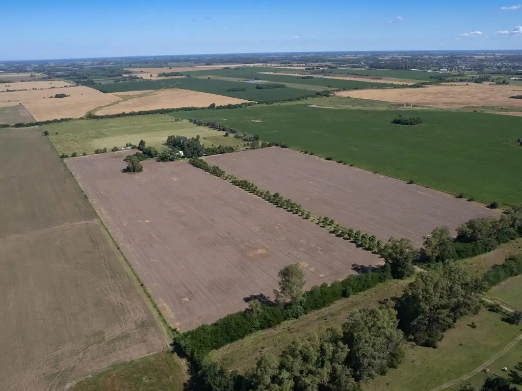 Campo 25ha en San Andres de Giles