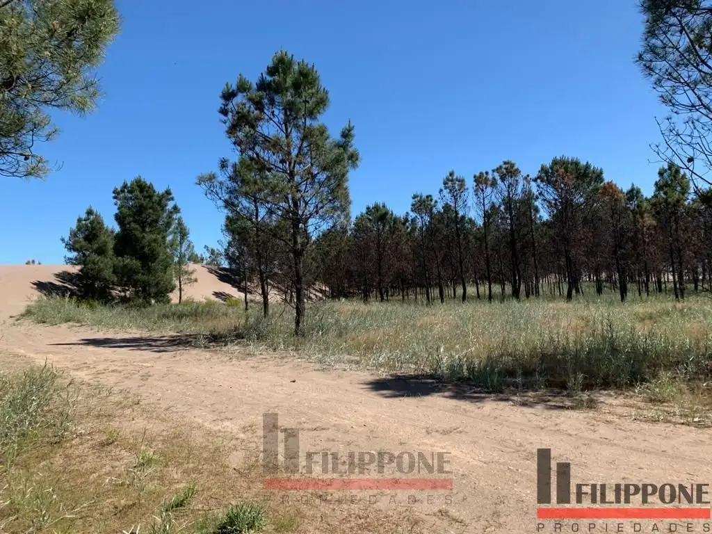 Terreno / Lote en venta de 684m2 ubicado en Balneario Pehuen Co