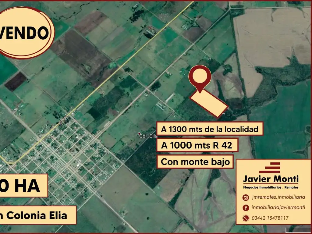 CAMPO ZONA COLONIA ELIA - 10 HA