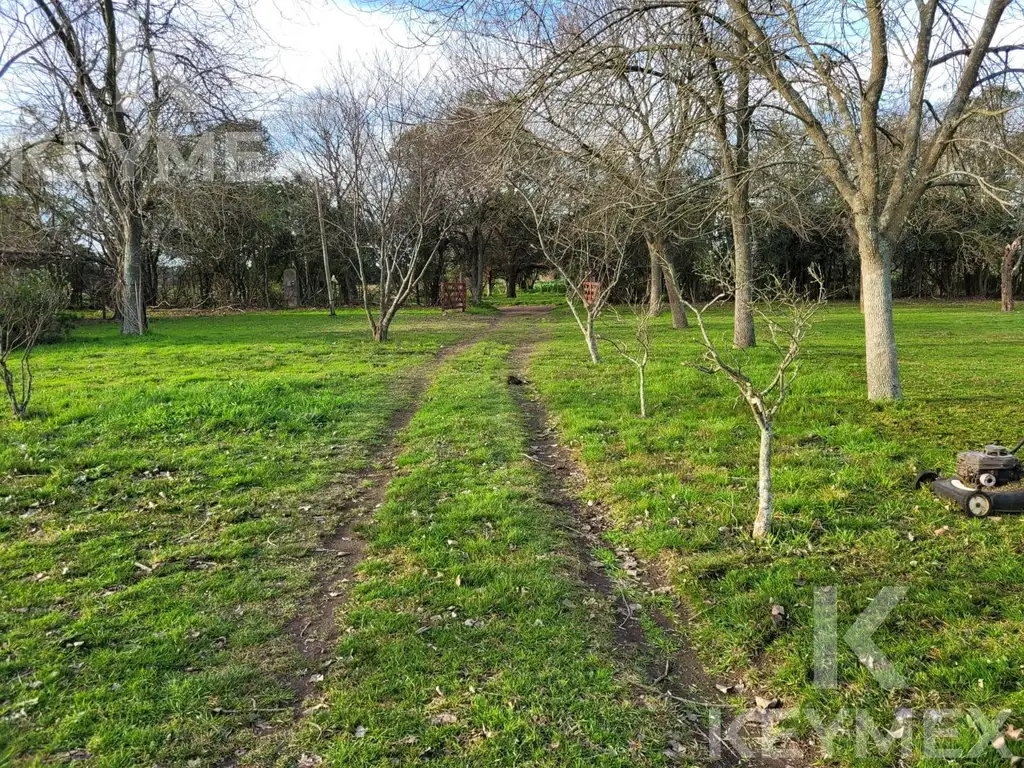 Campo en Venta EN ARTURO SEGUÍ