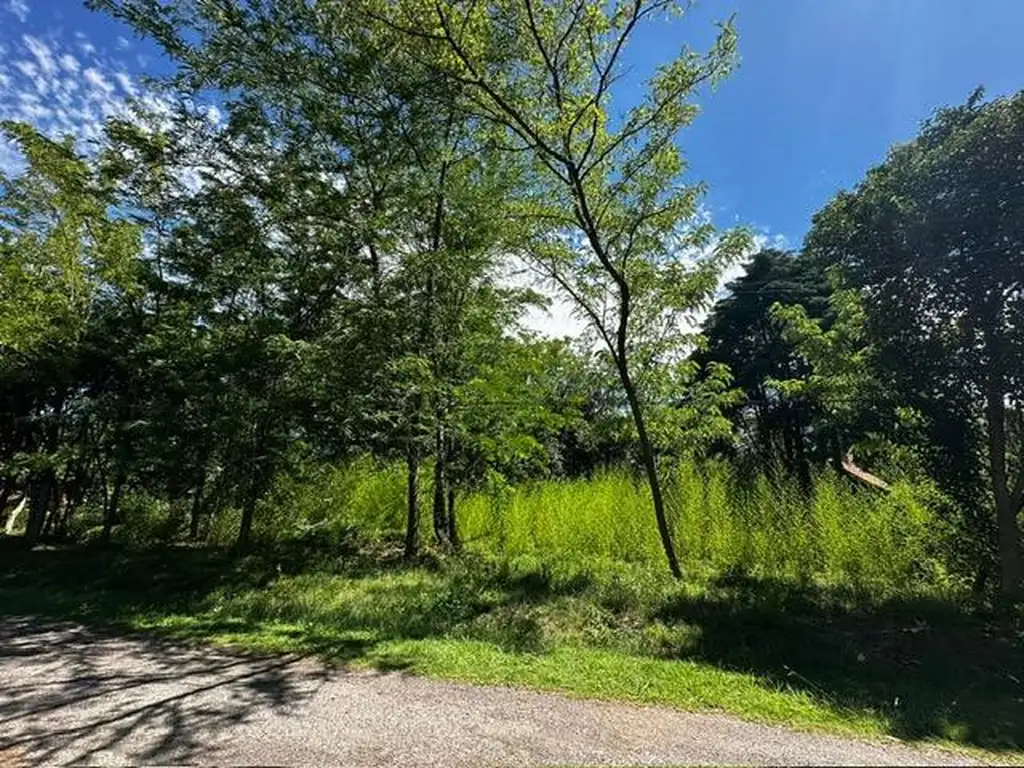 LOTE EN VENTA, CLUB DE CAMPO EL MORO, MARCOS PAZ