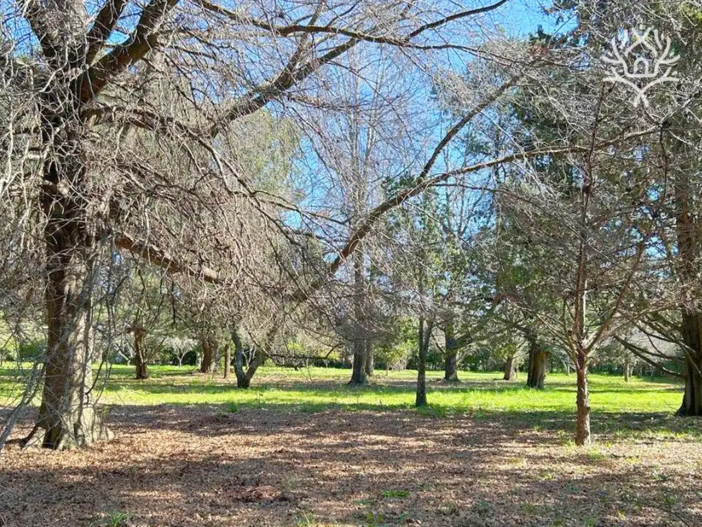 Venta - Lote - Barrio Parque La Verdad - Exaltación de la Cruz