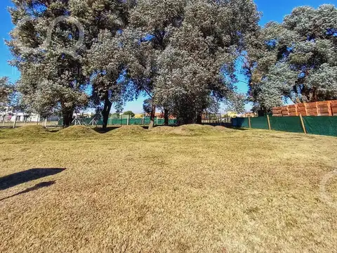 Terreno - San Ramon - Foto 0
