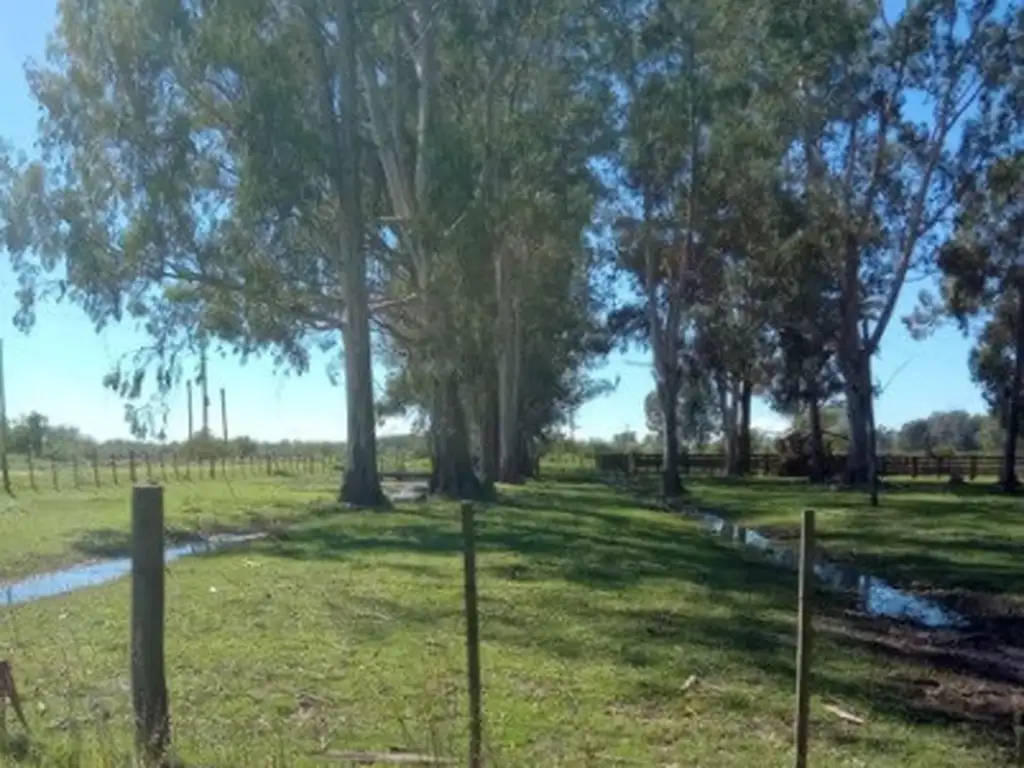 Vendo fracción de 120ha en Isla Talavera Zárate