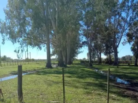 Vendo fracción de 120ha en Isla Talavera Zárate