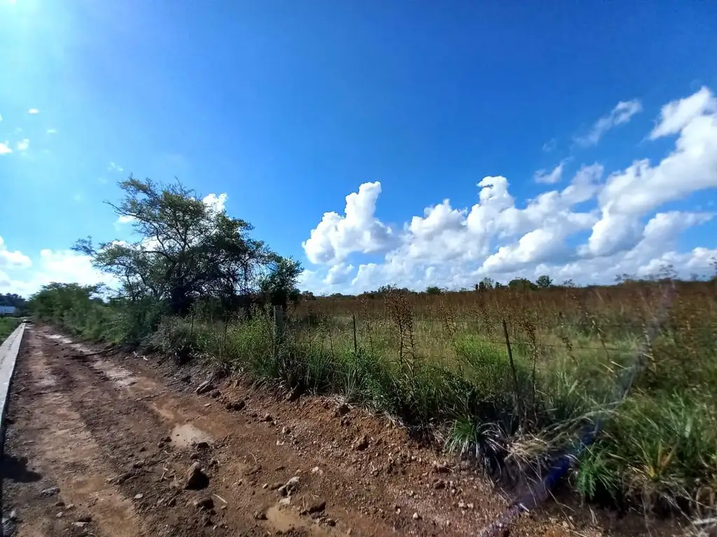 Campo 5 ha. apto Desarrollo Urbano